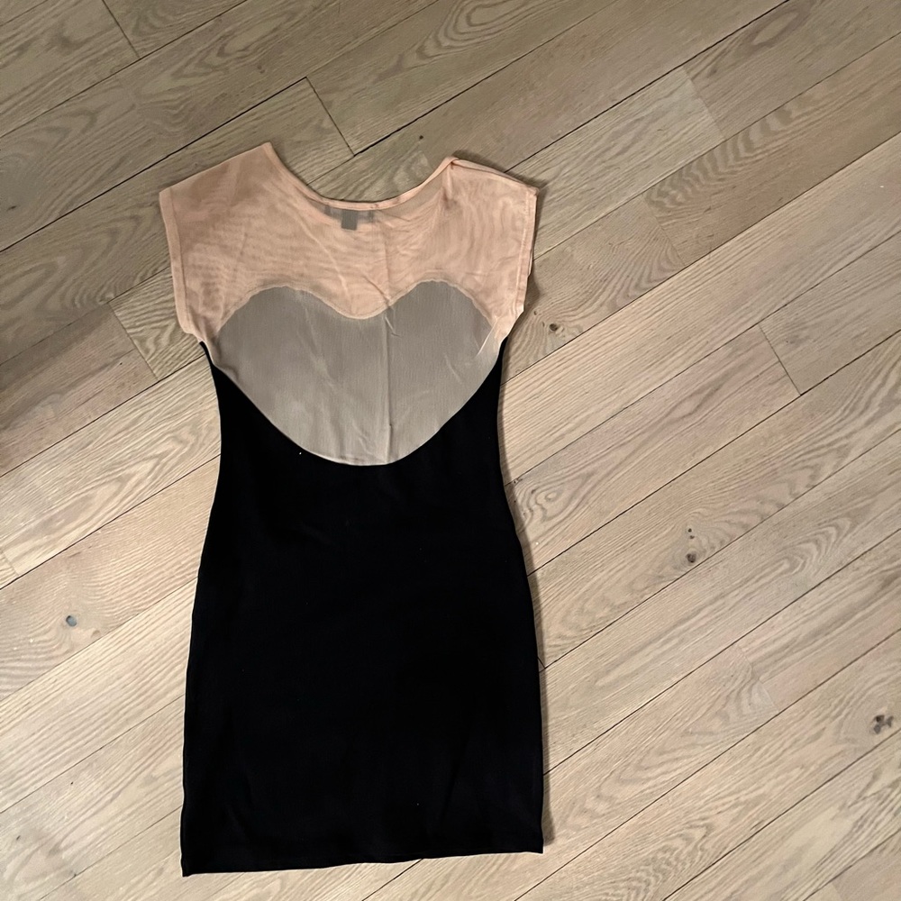 David Lerner - image 3